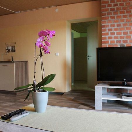 Ferienwohnung Im Gruenen Diesbar-Seusslitz Extérieur photo