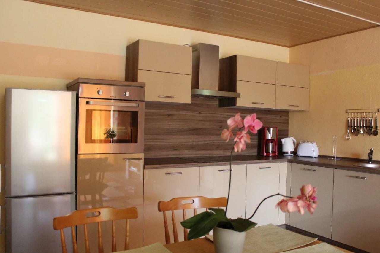 Ferienwohnung Im Gruenen Diesbar-Seusslitz Extérieur photo