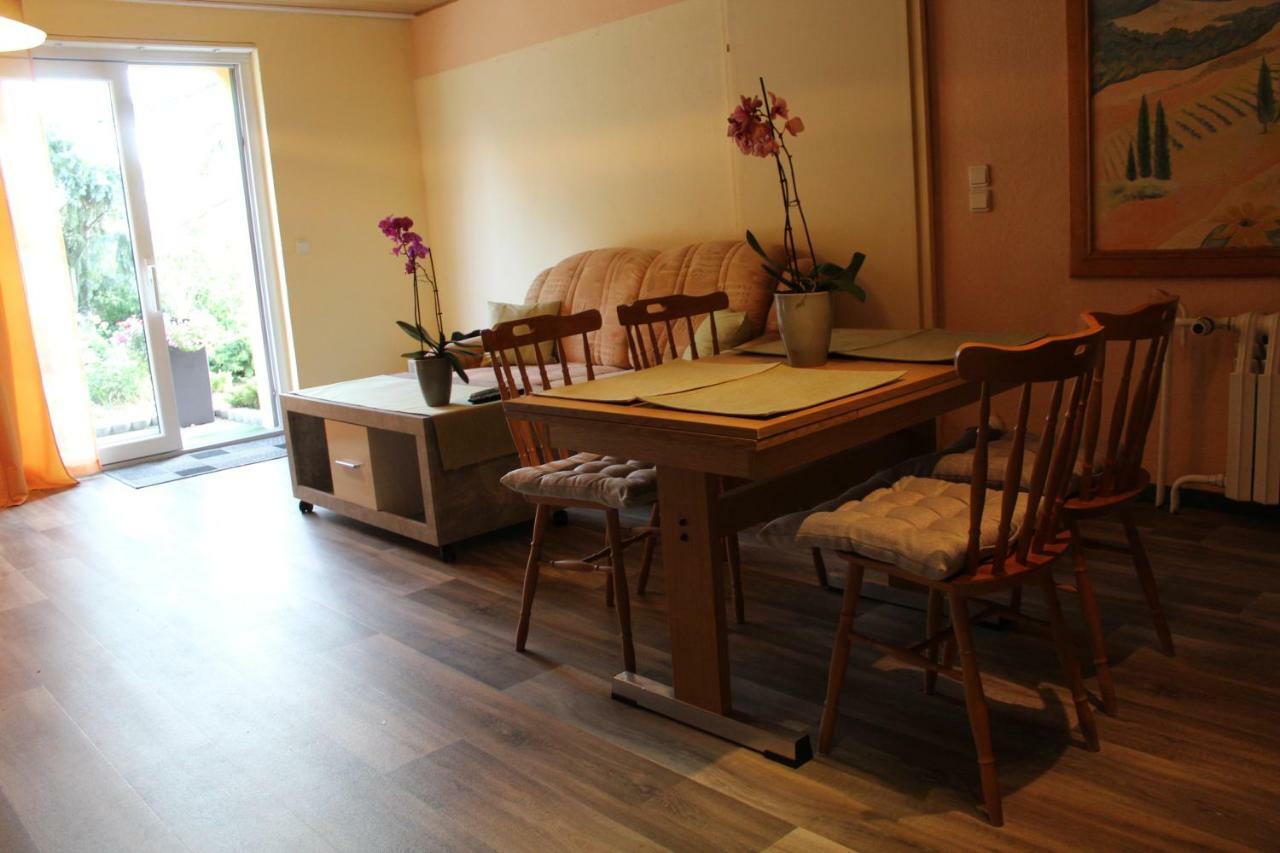 Ferienwohnung Im Gruenen Diesbar-Seusslitz Extérieur photo
